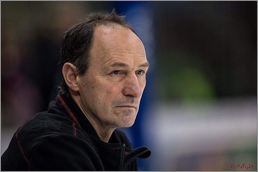 DEL, Koelner Haie - Duesseldorfer EGY, 22.01.2017